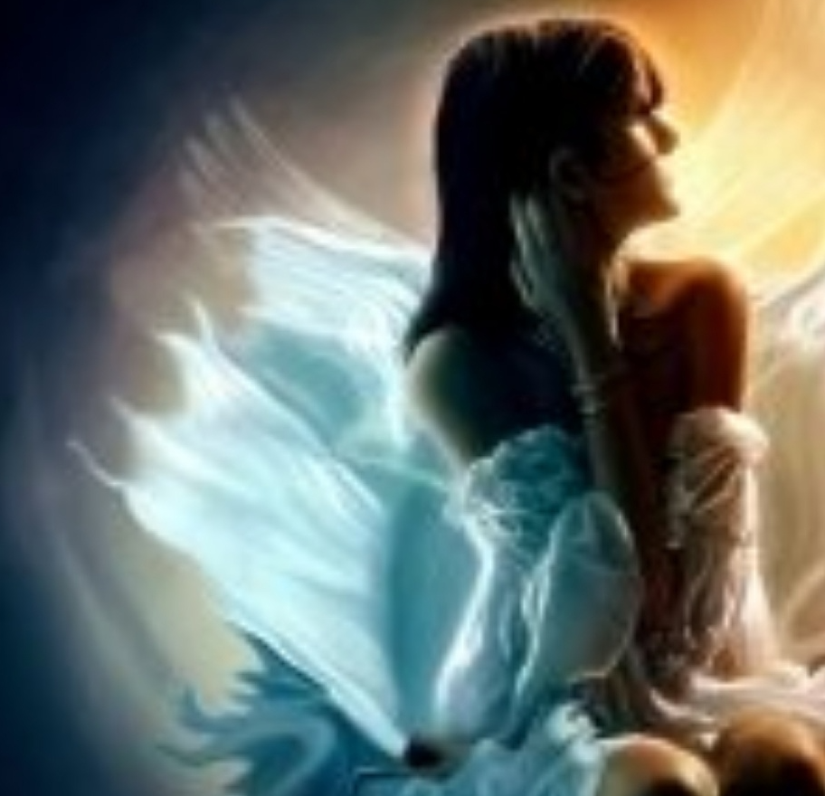 Ёжи Старлайт