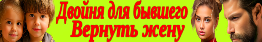 Вернуть жену. Двойня для бывшего