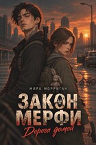Закон Мерфи. Дорога домой