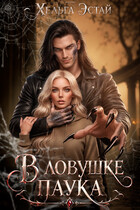 В ловушке паука