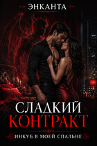 Инкуб в моей спальне. Сладкий контракт