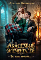 Академия элементалей. Без права на ошибку