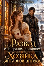 Развод с генералом-драконом. Хозяйка янтарной аптеки
