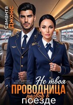 Не твоя проводница. Развод в поезде