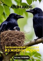Безымянный рассказ из жизни ворон