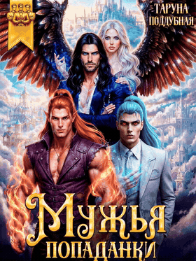 Мужья попаданки Газовый ключ к замужеству