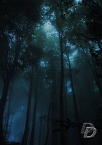 Безвременье. Постапокалипсис