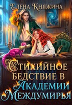 Стихийное бедствие в Академии Междумирья