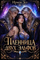 Пленница двух эльфов