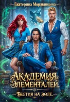 Академия элементалей. Бестия на воле