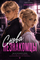 Снова незнакомцы