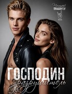 Господин Разрушитель