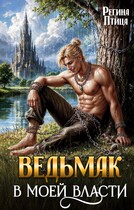 Ведьмак в моей власти